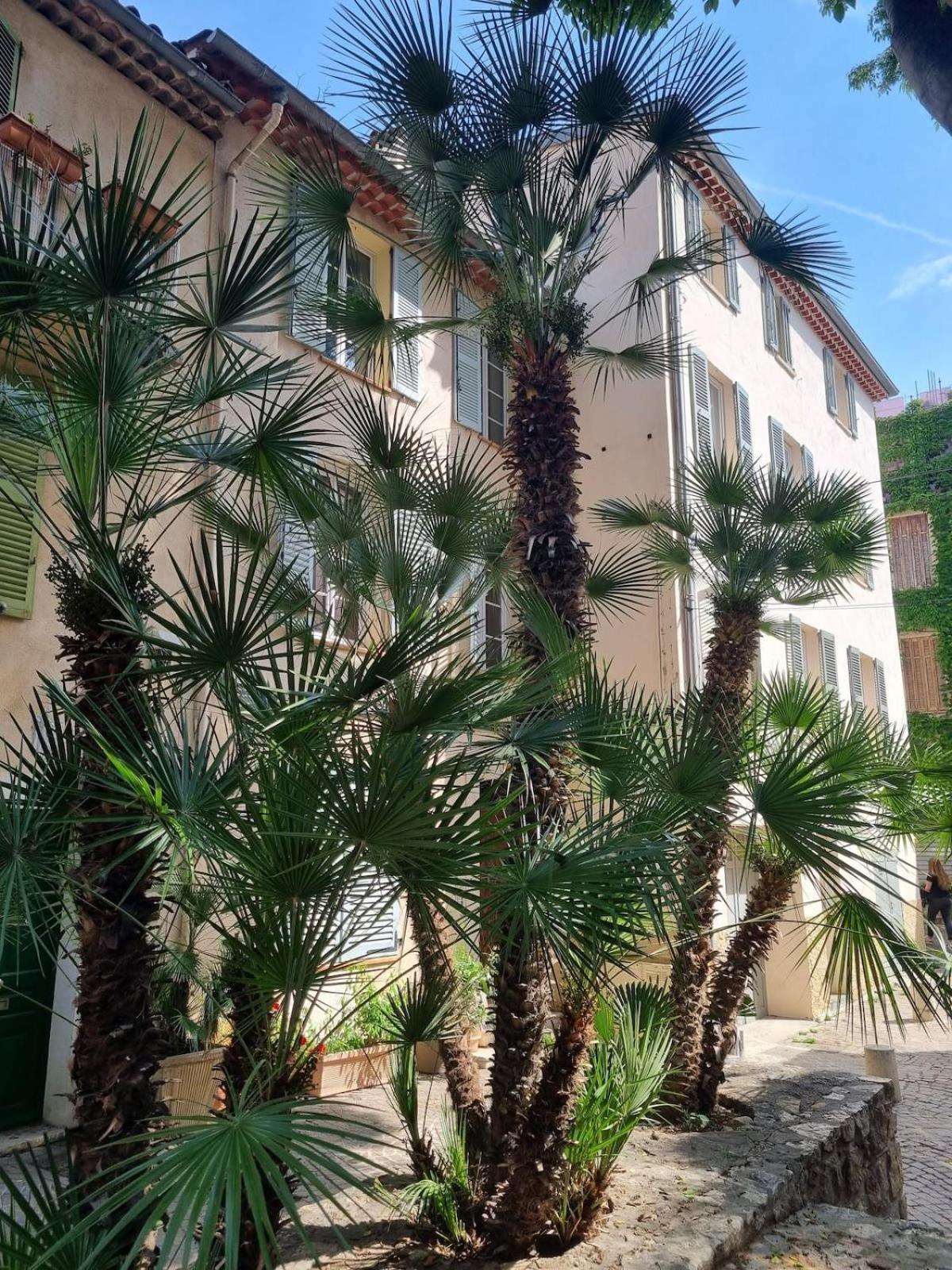 06An - Beautiful Apartment In The Heart Of Old Antibes Zewnętrze zdjęcie